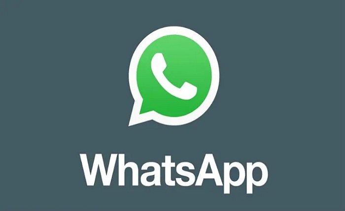 iStudyInfo WhatsApp Chat