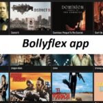 bollyflex app