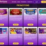 fortune coins promo